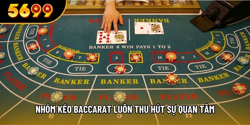 Nhóm kéo baccarat luôn thu hút sự quan tâm